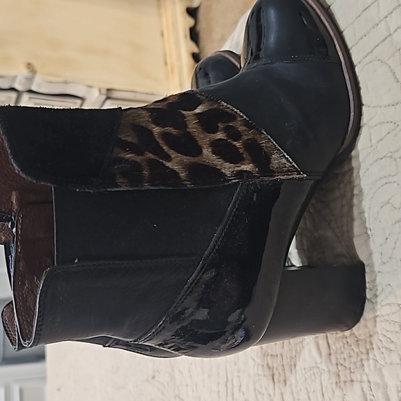 Hispanitas - Picture 5 of 8